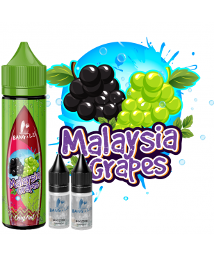 e liquide Malaysia grapes 60 ml de chez Bang à l'ô