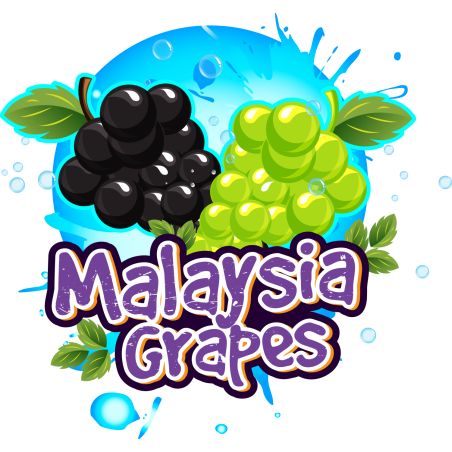 MALAYSIA GRAPES 60 Ml - Bang À L'ô